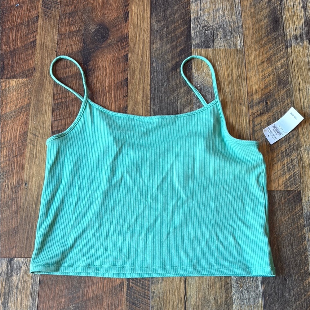 American Eagle Outfitters Mint Green Fitted Crop Camisole